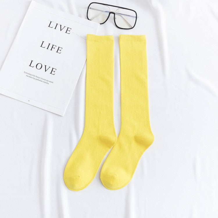 Aya Colorful High-Cut Cotton Socks (12 Colors)