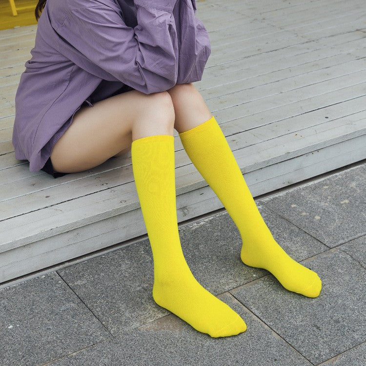 Aya Colorful High-Cut Cotton Socks (12 Colors)