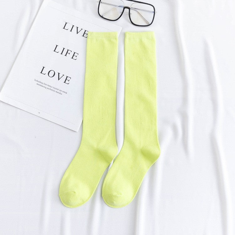 Aya Colorful High-Cut Cotton Socks (12 Colors)