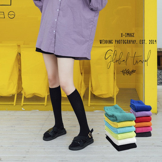 Aya Colorful High-Cut Cotton Socks (12 Colors)